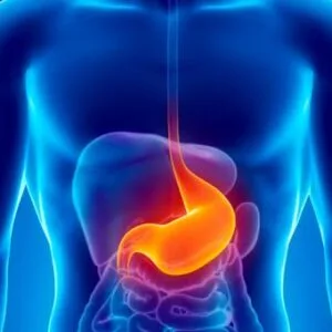 خدمات فحص جرثومة المعدة (H. Pylori) في تركيا