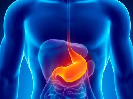 خدمات فحص جرثومة المعدة (H. Pylori) في تركيا