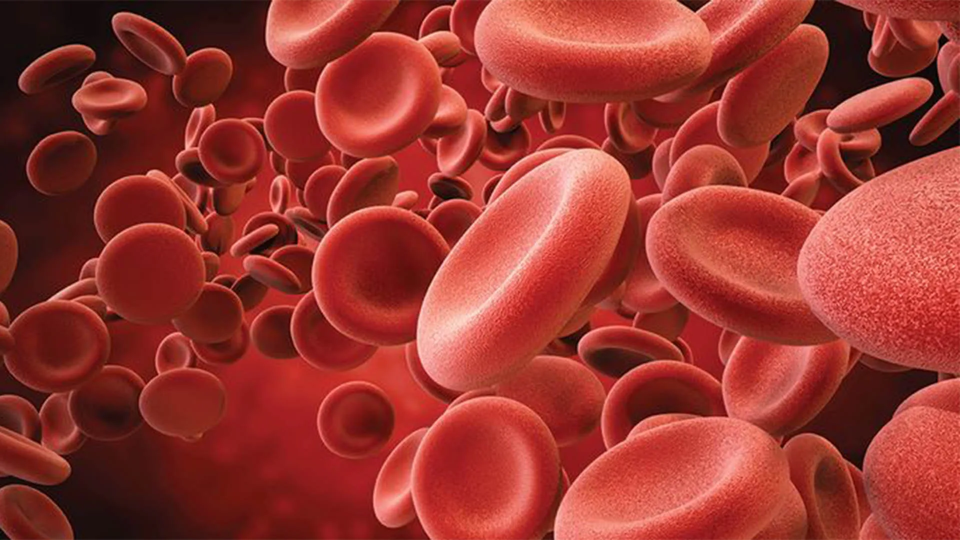 اختبار رحلان الخضاب الكهربائي في إسطنبول.