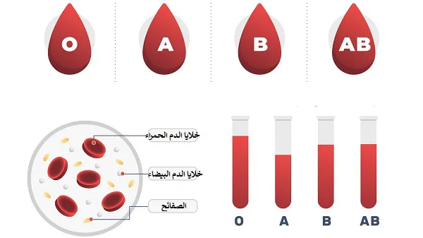 تحليل زمرة الدم ABO وعامل الريزوس Rh في إسطنبول لتحديد فصيلة الدم والتوافق في نقل الدم والحمل.